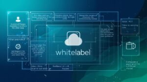 What Is a Whitelabel IPTV Reseller Panel?